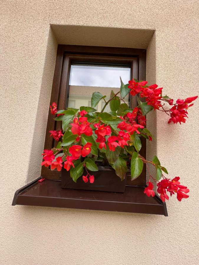 Sloneczne Apartamenty Поляниця-Здруй Екстер'єр фото
